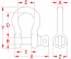 1/4" US Anchor Shackle W/ Screw Pin