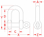 1/2" Stainless Steel Straight D Shackle with Captive Pin